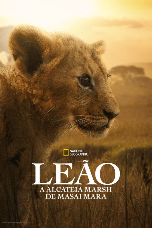 Assistir Leão: A Alcateia Marsh de Masai Mara