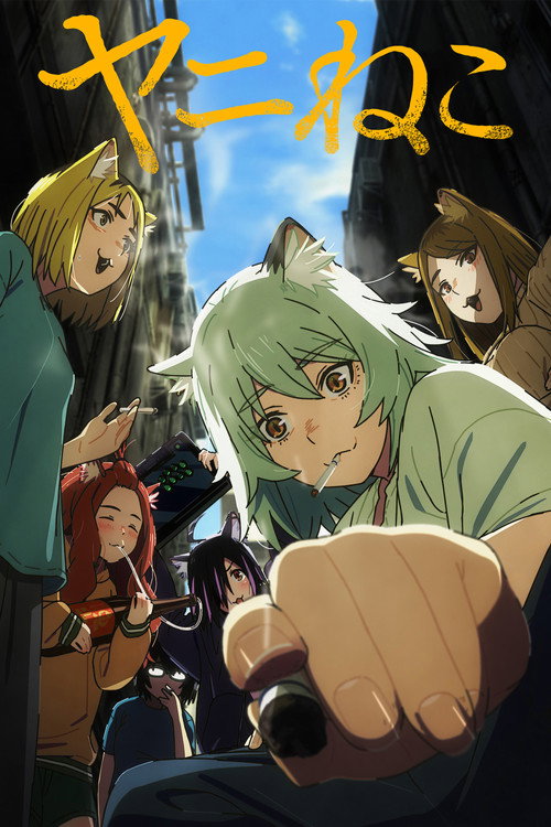 Assistir Chainsmoker Cat
